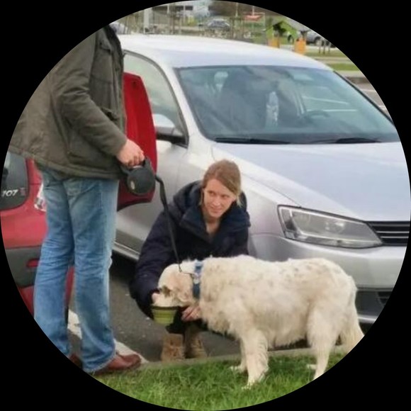 Meet your Posher, Debartolo - Picture 1 of 1